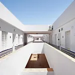 Artico 205